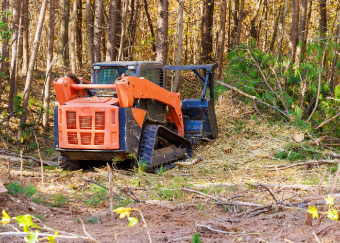 forestry mulching graniteville sc being done on a property