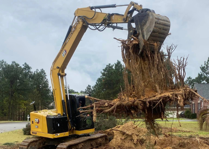 excavation graniteville sc being done with a large stump being taken out